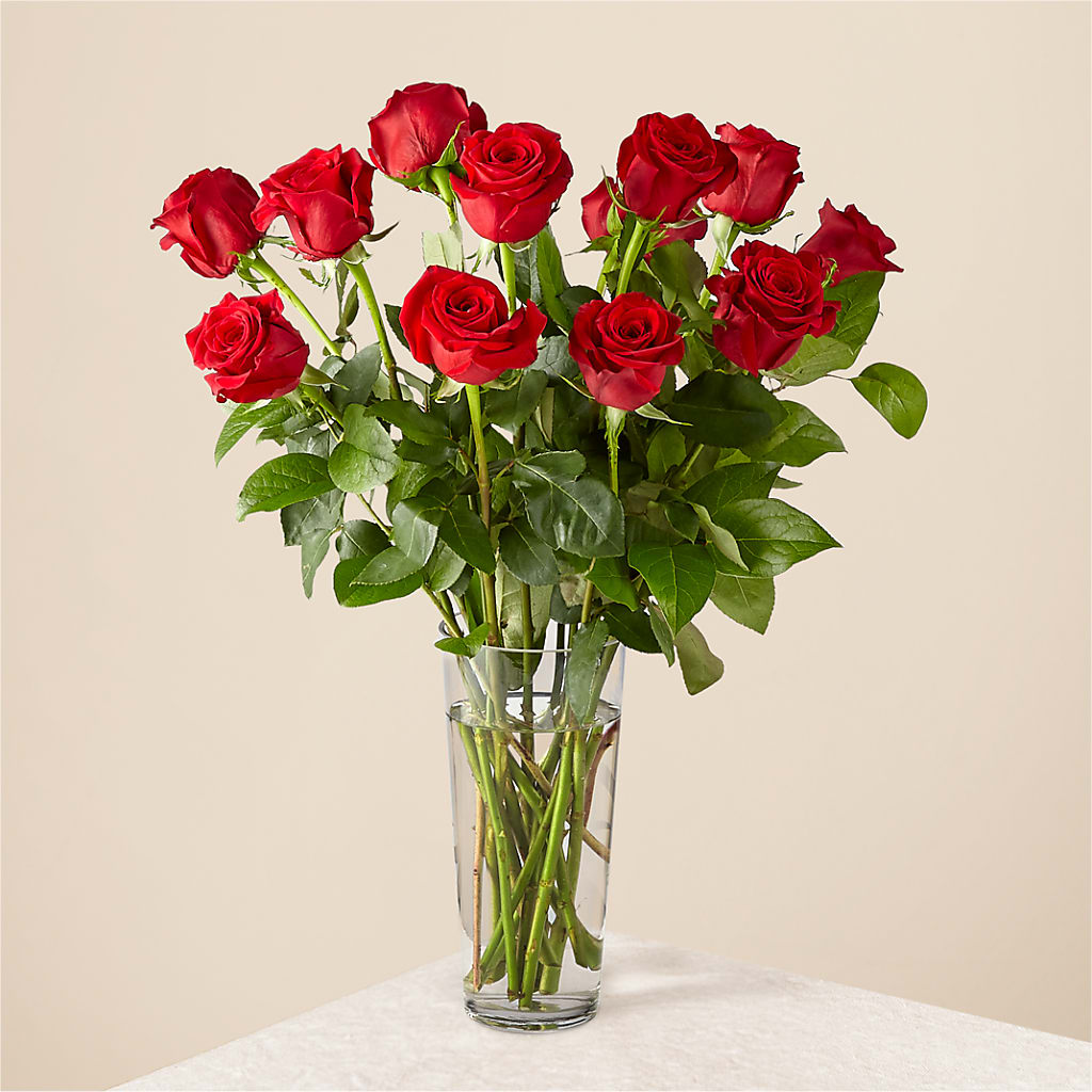 Long Stem Red Rose Bouquet – Velvet Leaf And Stem, Las Vegas NV