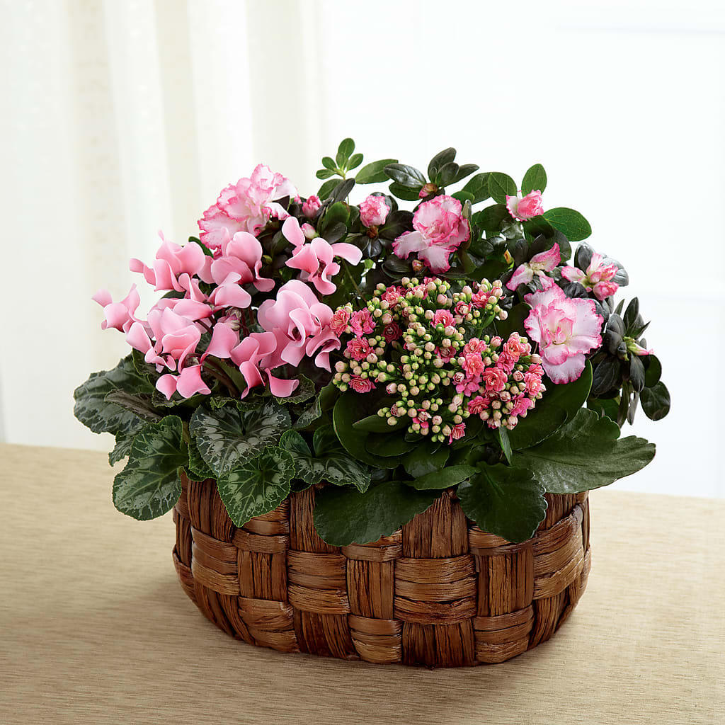 Pink Assortment – Velvet Leaf And Stem, Las Vegas NV