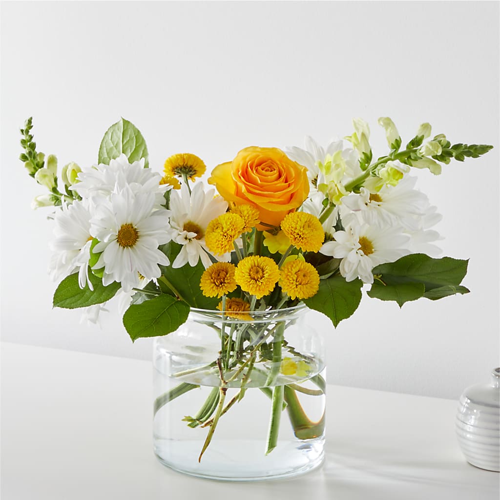 Sun Salutation Bouquet – Velvet Leaf And Stem, Las Vegas NV