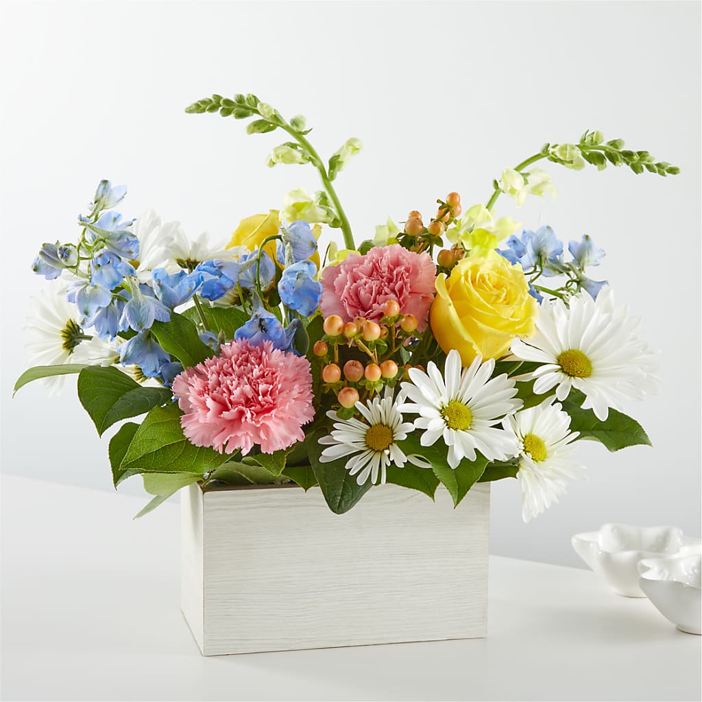 Sun Salutation Box Bouquet – Velvet Leaf And Stem, Las Vegas NV