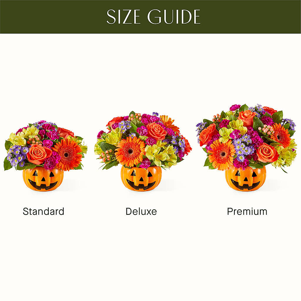 Tricks & Treats Pumpkin – Velvet Leaf And Stem, Las Vegas NV