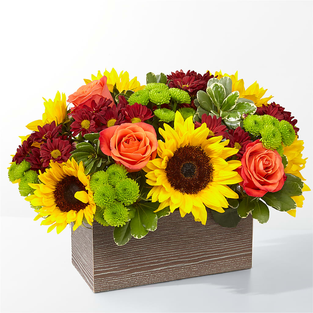 Happy Harvest Garden – Velvet Leaf And Stem, Las Vegas NV