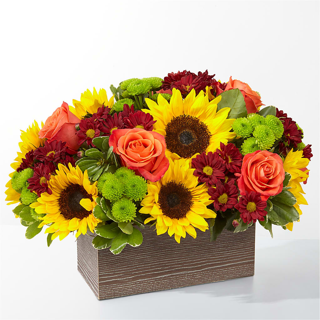 Happy Harvest Garden – Velvet Leaf And Stem, Las Vegas NV