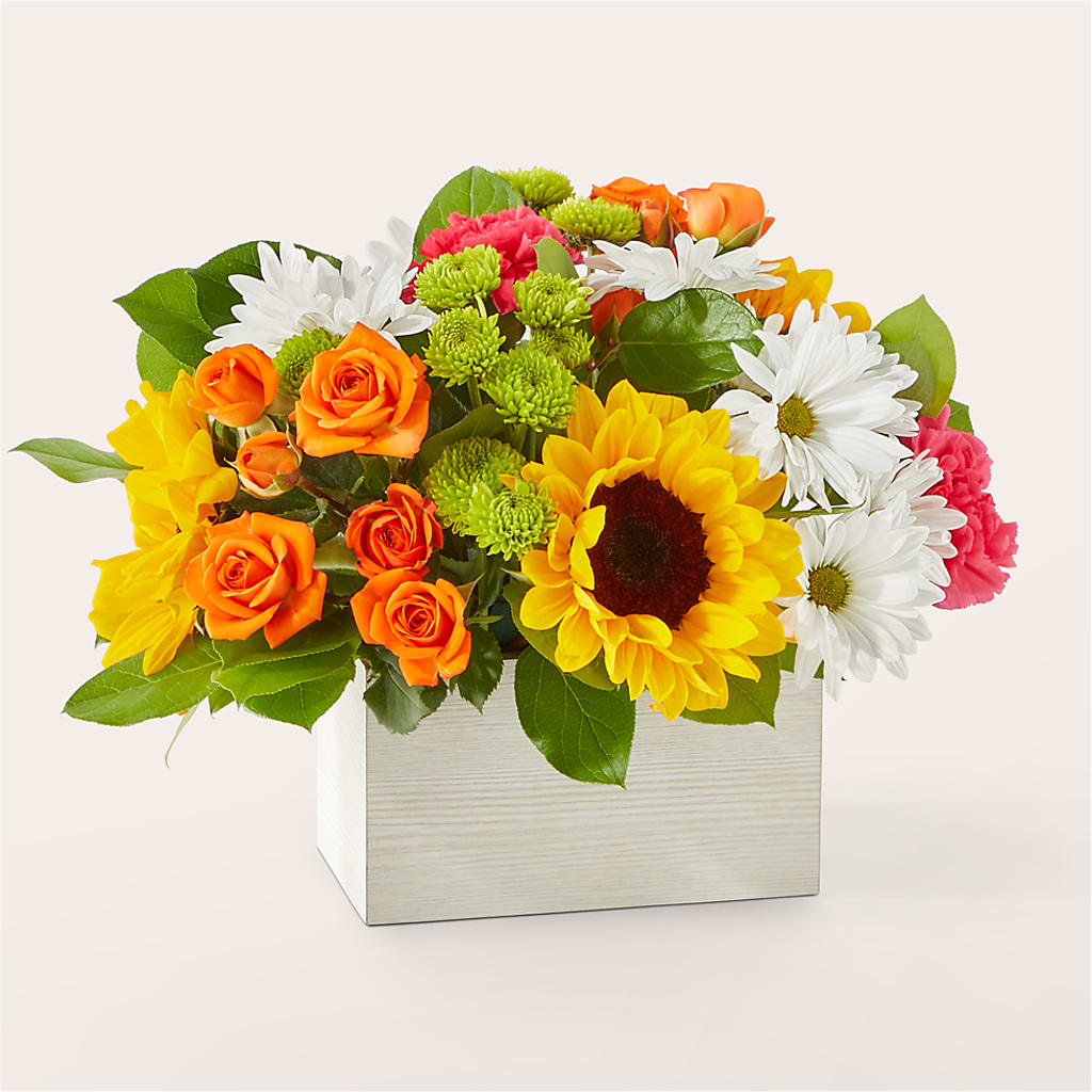 Sun-drenched Blooms Box Bouquet – Velvet Leaf And Stem, Las Vegas NV