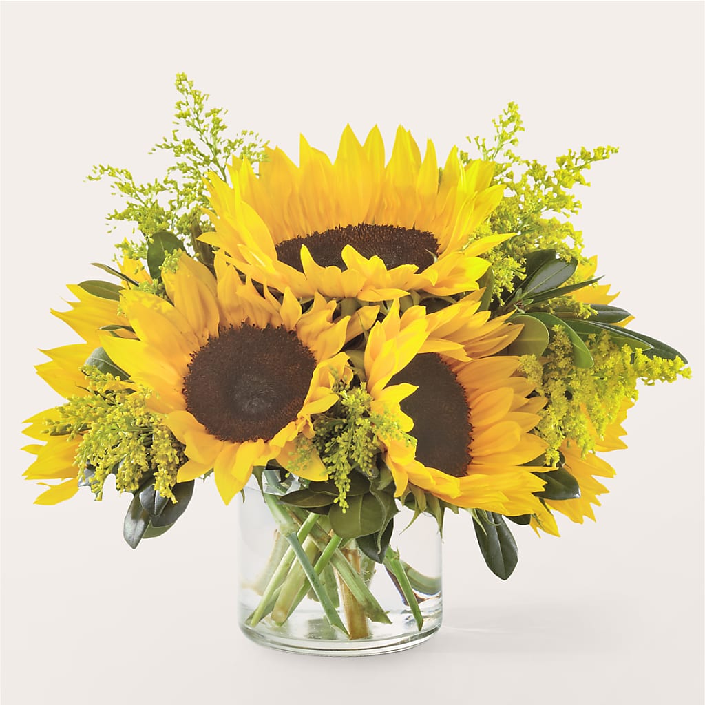 Beaming Sunflower Bouquet – Velvet Leaf And Stem, Las Vegas NV