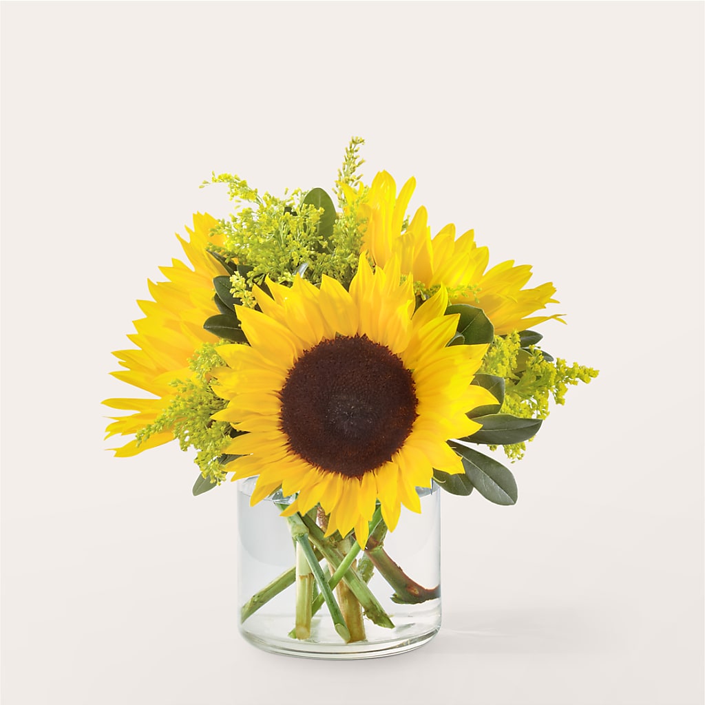 Beaming Sunflower Bouquet – Velvet Leaf And Stem, Las Vegas NV