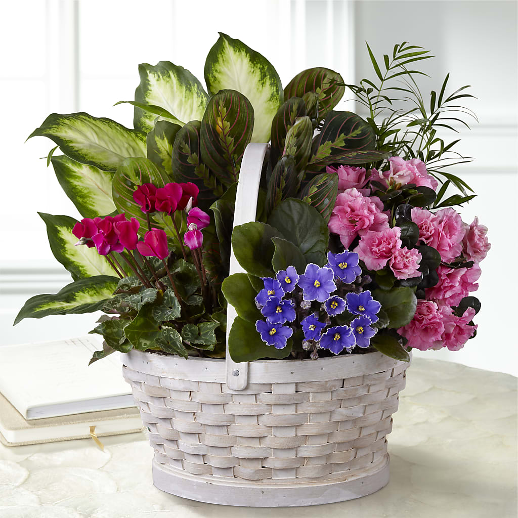 Peaceful Garden Planter – Velvet Leaf And Stem, Las Vegas NV