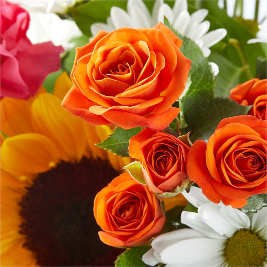 Sun-drenched Blooms Bouquet – Velvet Leaf And Stem, Las Vegas NV