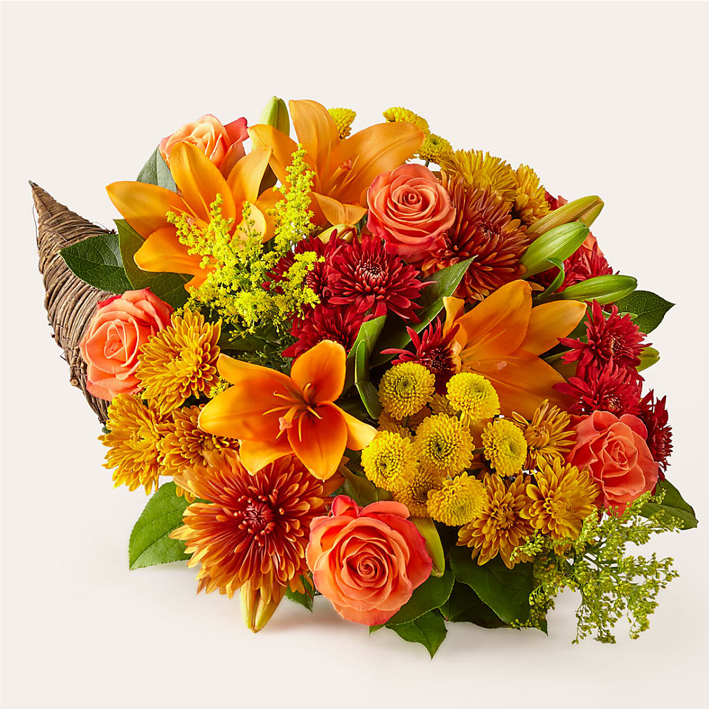 Feast of Color Cornucopia – Velvet Leaf And Stem, Las Vegas NV