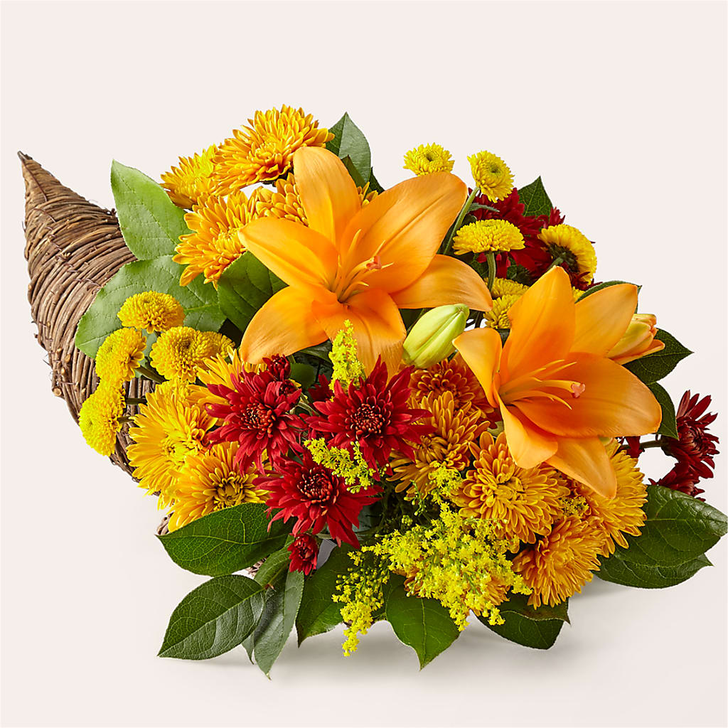 Feast of Color Cornucopia – Velvet Leaf And Stem, Las Vegas NV
