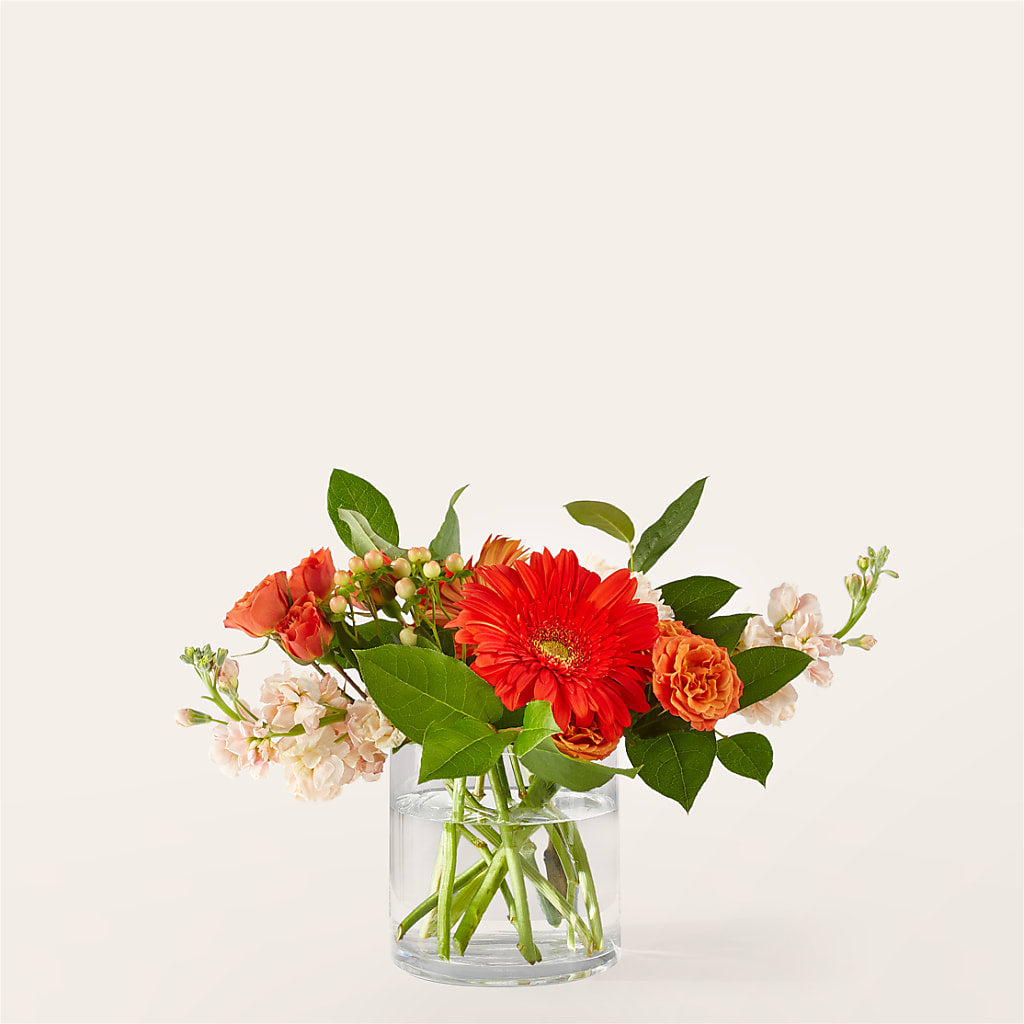 Paloma Please Bouquet – Velvet Leaf And Stem, Las Vegas NV