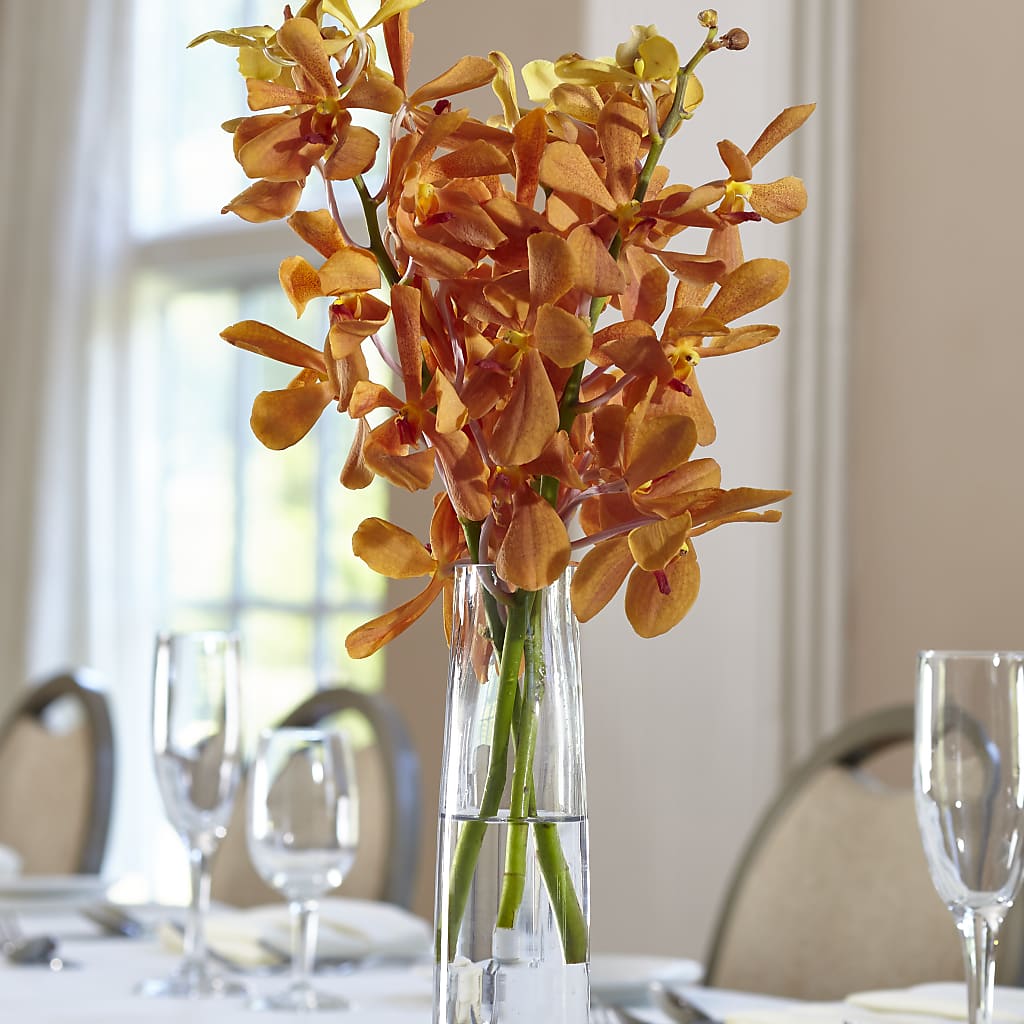 Orange Mokara Bud Vase – Velvet Leaf And Stem, Las Vegas NV