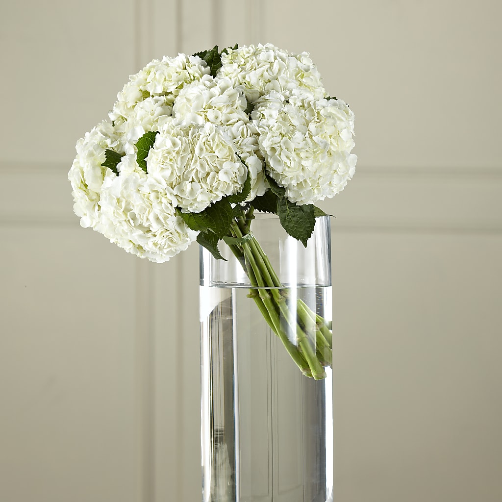 White Hydrangea Hand-Tied Bouquet – Velvet Leaf And Stem, Las Vegas NV