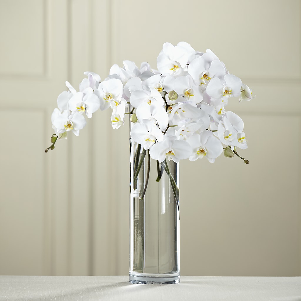 White Phalaenopsis Bouquet – Velvet Leaf And Stem, Las Vegas NV