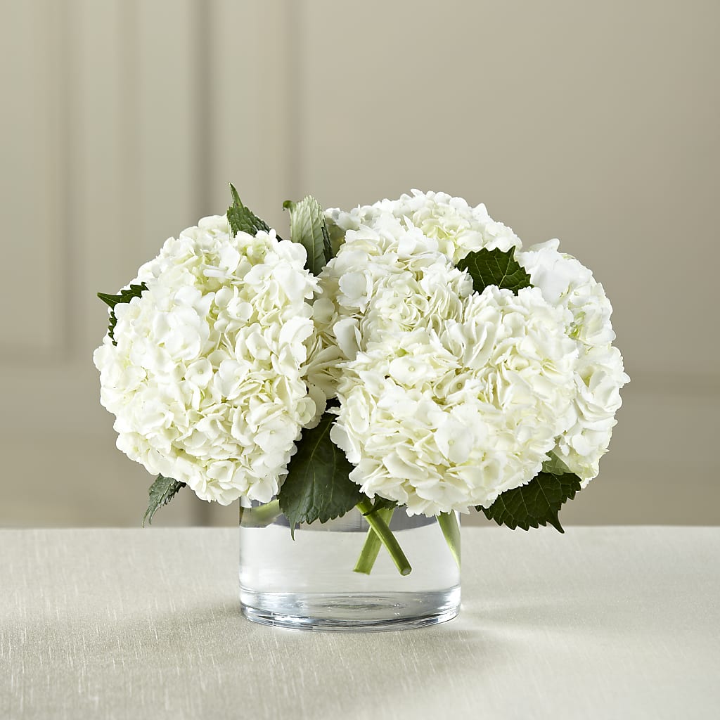 White Hydrangea Bouquet – Velvet Leaf And Stem, Las Vegas NV
