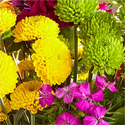 Bold & Bright – A Florist Original –  Velvet Leaf And Stem, Las Vegas NV