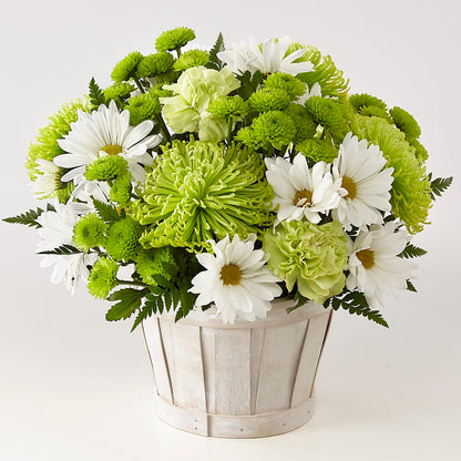 Lucky Charm Basket (Standard) –  Velvet Leaf And Stem, Las Vegas NV