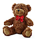 Adorable Plush Bear –  Velvet Leaf And Stem, Las Vegas NV