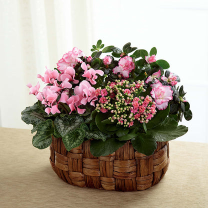 Pink Assortment –  Velvet Leaf And Stem, Las Vegas NV