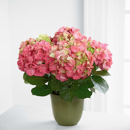 Pink Hydrangea Planter –  Velvet Leaf And Stem, Las Vegas NV
