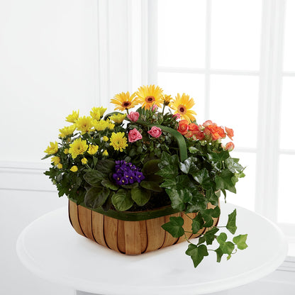 Gentle Blossoms Basket –  Velvet Leaf And Stem, Las Vegas NV
