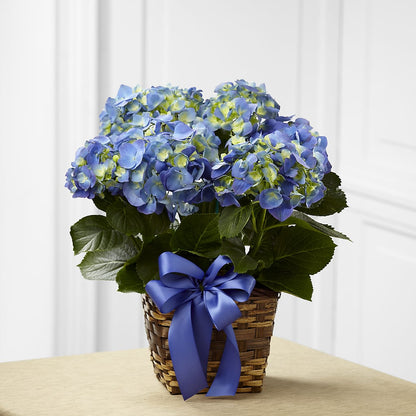 Blue Hydrangea Planter –  Velvet Leaf And Stem, Las Vegas NV