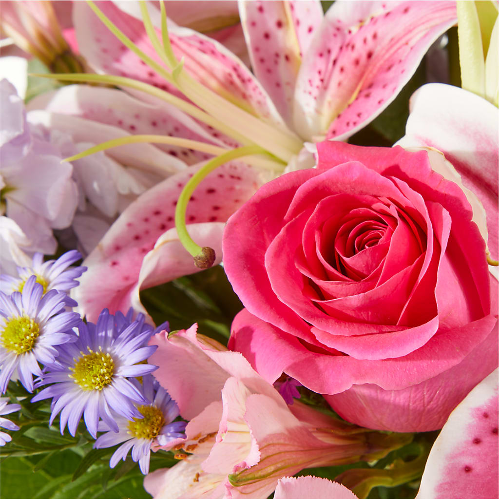 Pressing Petals Bouquet –  Velvet Leaf And Stem, Las Vegas NV