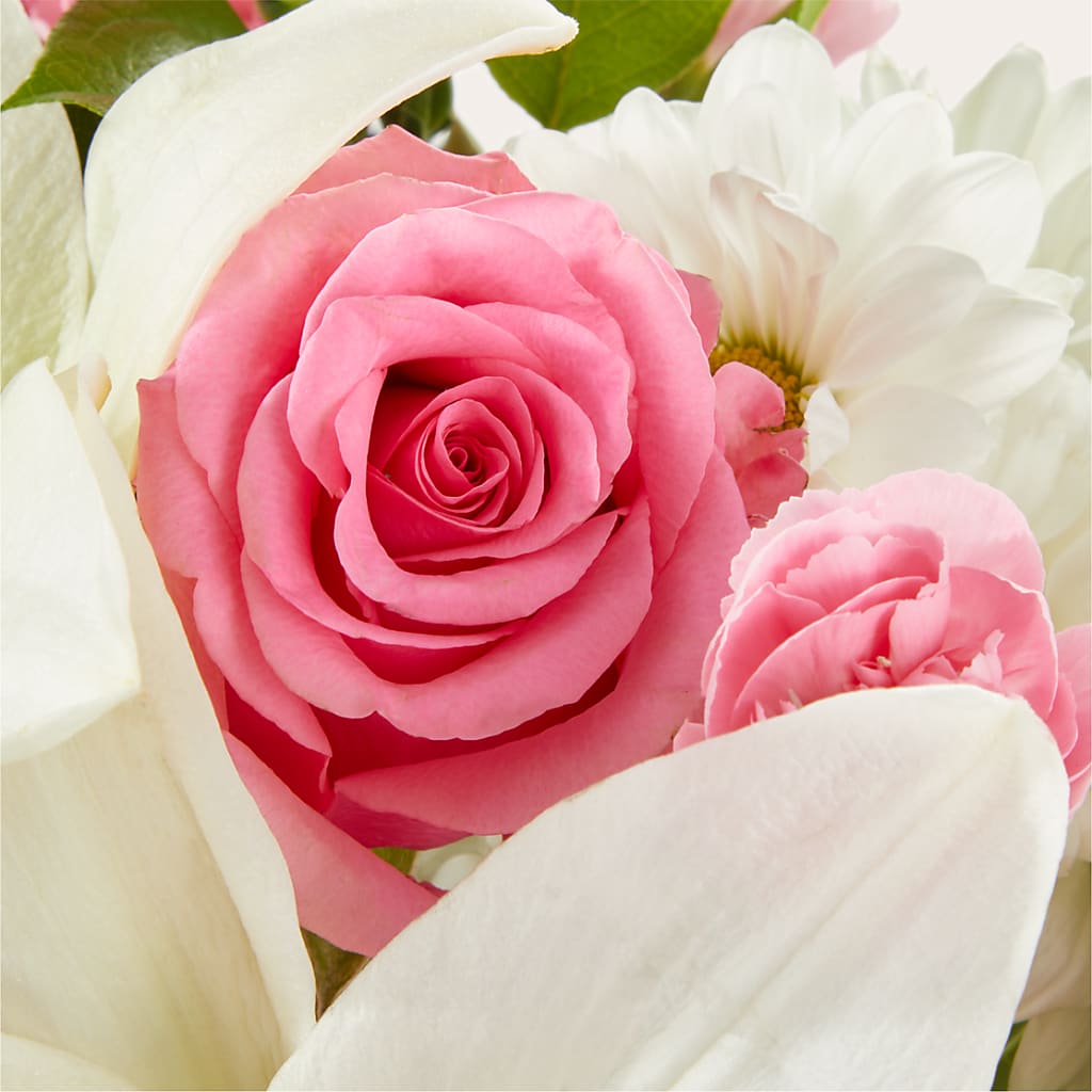 Whispers of Comfort Bouquet –  Velvet Leaf And Stem, Las Vegas NV