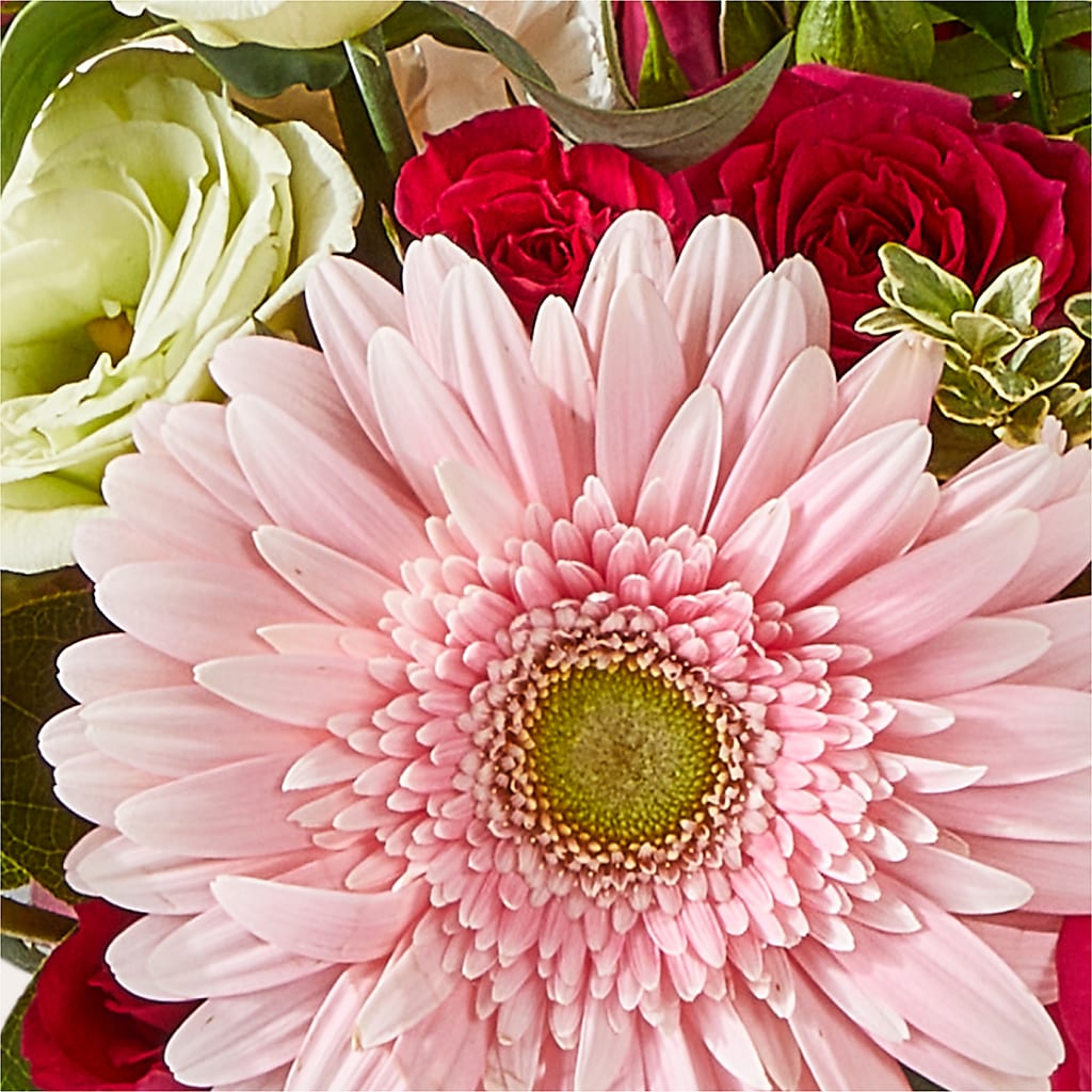 Too Cute Bouquet –  Velvet Leaf And Stem, Las Vegas NV