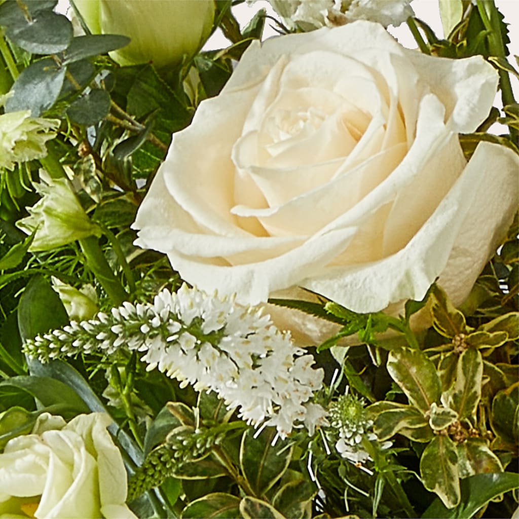 Cashmere Bouquet –  Velvet Leaf And Stem, Las Vegas NV