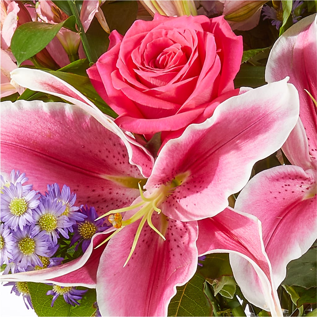 Written in the Stars Bouquet –  Velvet Leaf And Stem, Las Vegas NV