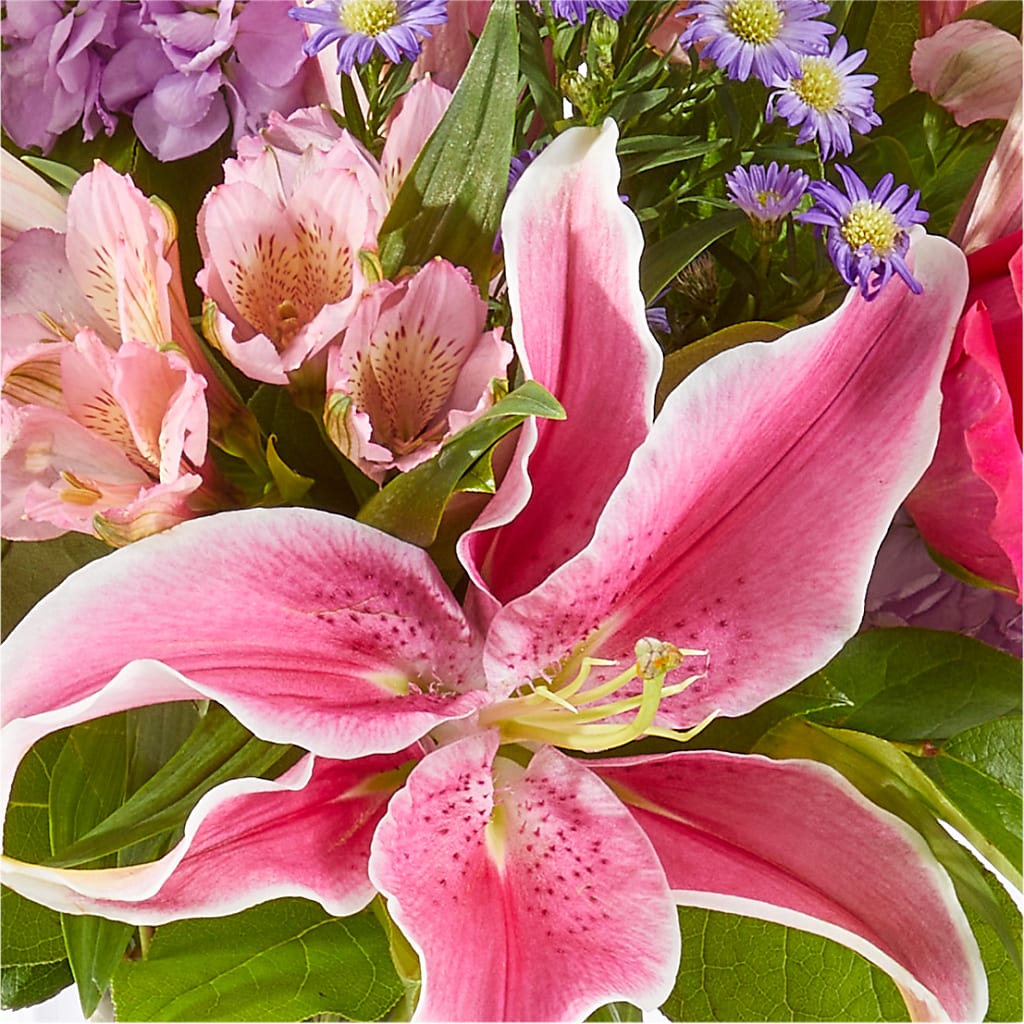 Written in the Stars Bouquet –  Velvet Leaf And Stem, Las Vegas NV