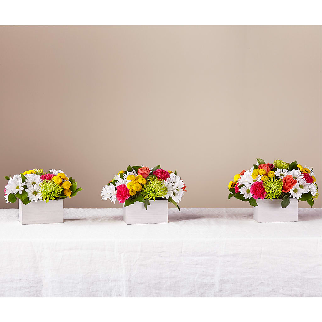 Sorbet Bouquet –  Velvet Leaf And Stem, Las Vegas NV
