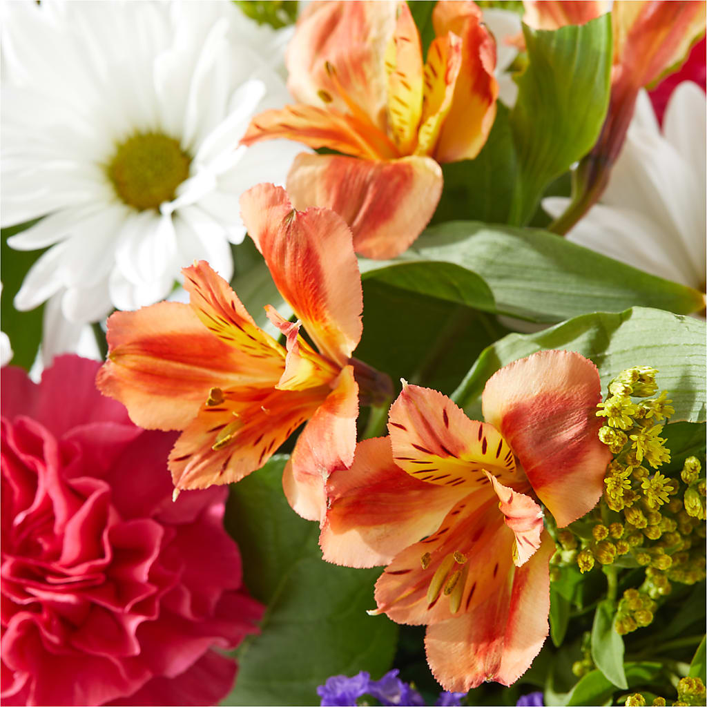 Oopsie Daisy Box Bouquet –  Velvet Leaf And Stem, Las Vegas NV