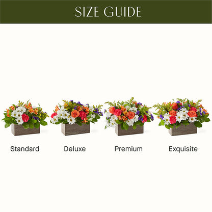 Oopsie Daisy Box Bouquet –  Velvet Leaf And Stem, Las Vegas NV