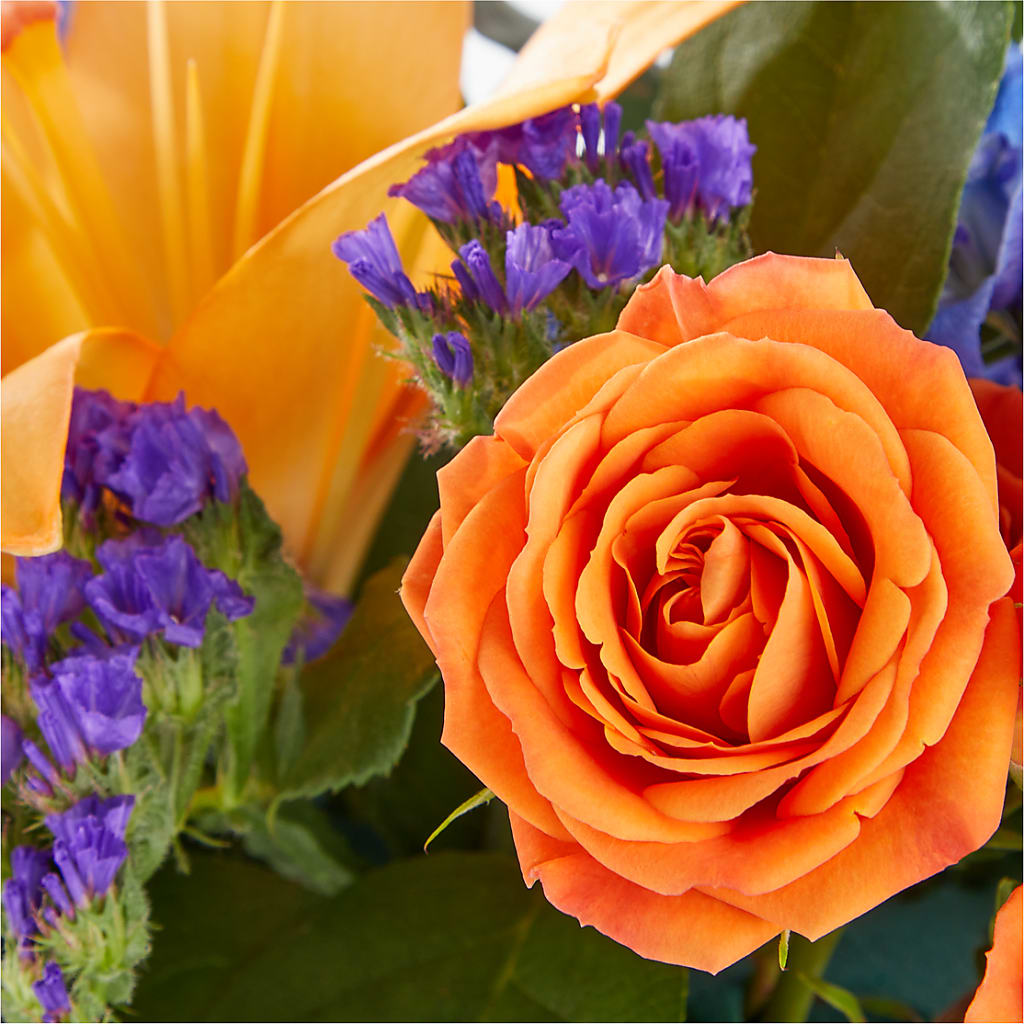 Radiant Citrus Box Bouquet –  Velvet Leaf And Stem, Las Vegas NV