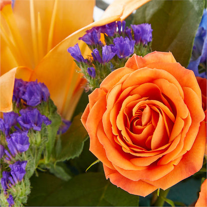 Radiant Citrus Box Bouquet –  Velvet Leaf And Stem, Las Vegas NV