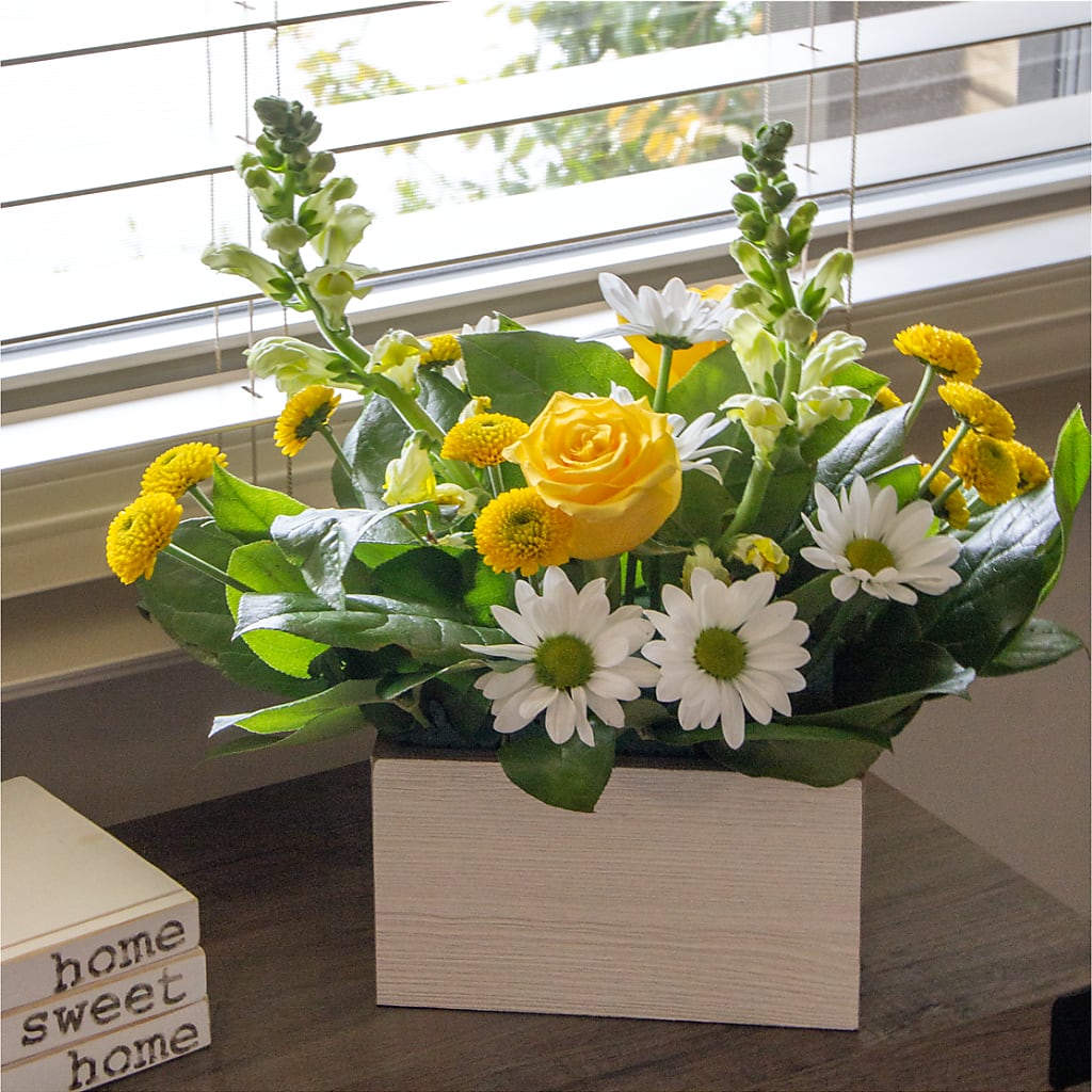 Sun Salutation Box Bouquet –  Velvet Leaf And Stem, Las Vegas NV