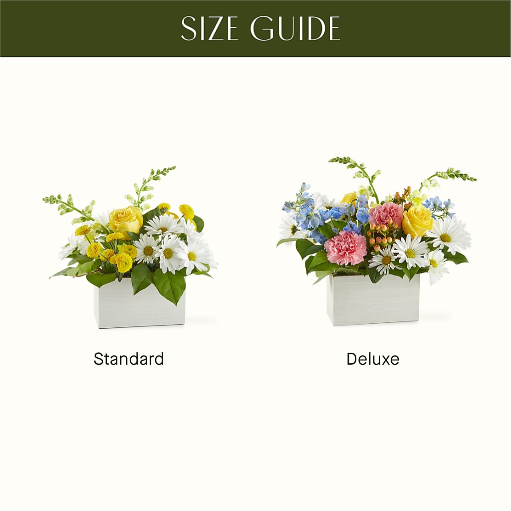 Sun Salutation Box Bouquet –  Velvet Leaf And Stem, Las Vegas NV