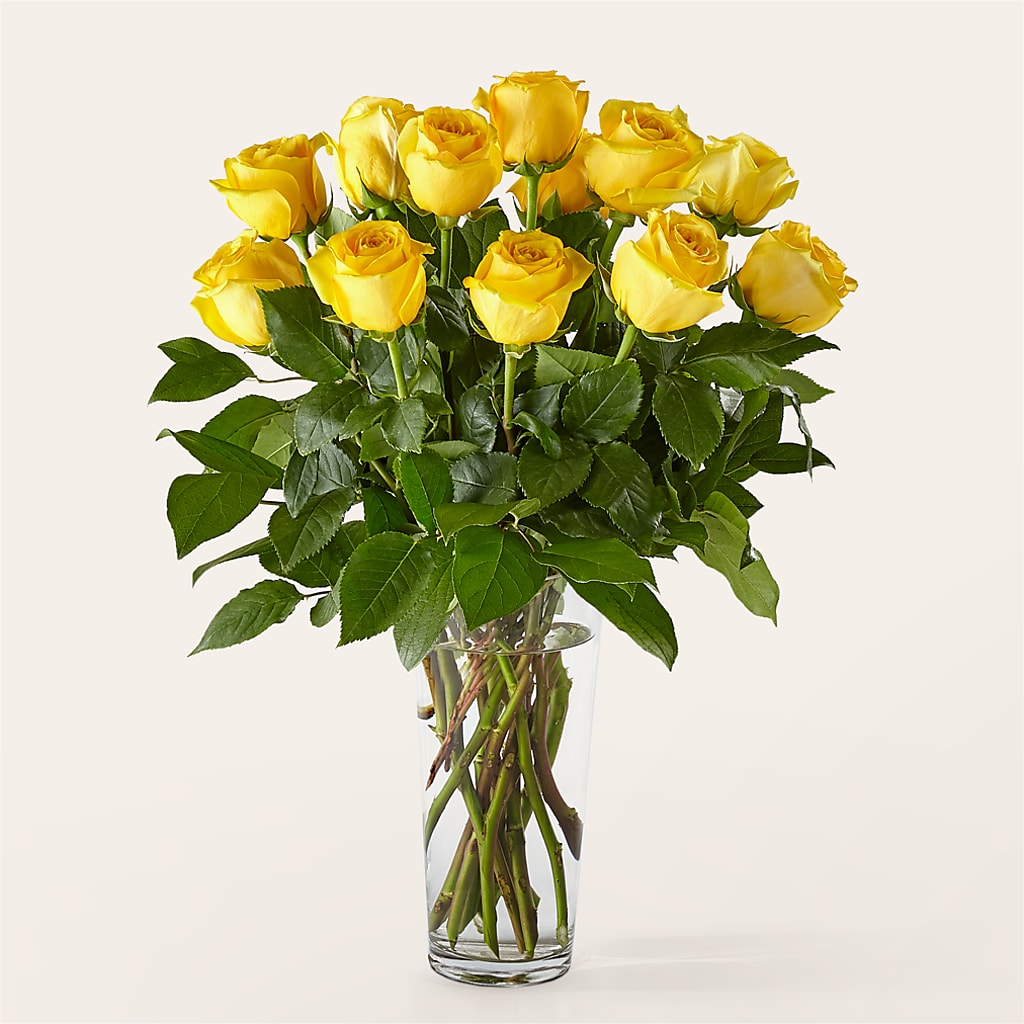 Long Stem Yellow Rose Bouquet –  Velvet Leaf And Stem, Las Vegas NV