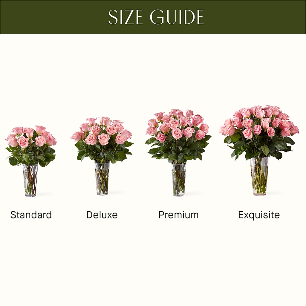 Long Stem Pink Rose Bouquet –  Velvet Leaf And Stem, Las Vegas NV