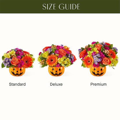 Tricks & Treats Pumpkin –  Velvet Leaf And Stem, Las Vegas NV