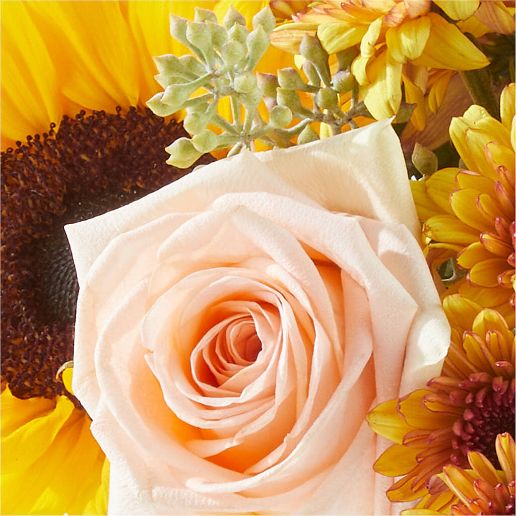 Pumpkin to Talk About Bouquet –  Velvet Leaf And Stem, Las Vegas NV