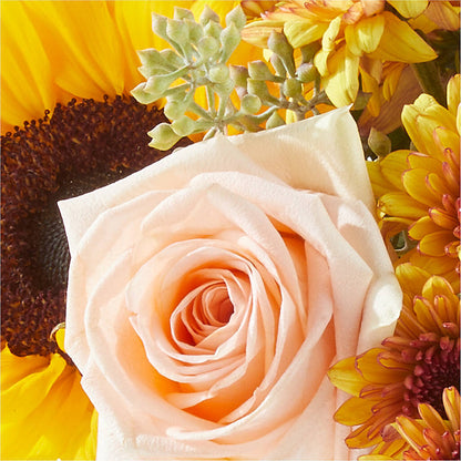 Pumpkin to Talk About Bouquet –  Velvet Leaf And Stem, Las Vegas NV