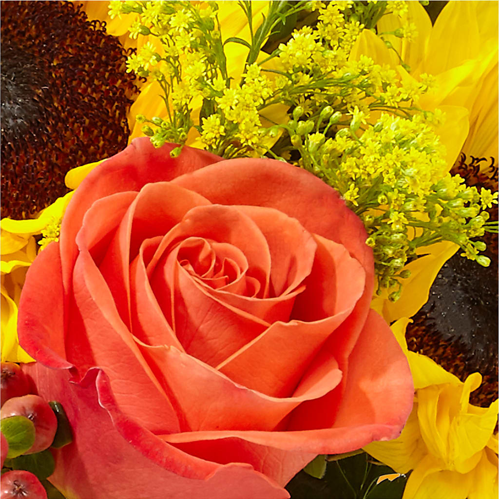 Pick of the Patch Pumpkin Bouquet –  Velvet Leaf And Stem, Las Vegas NV