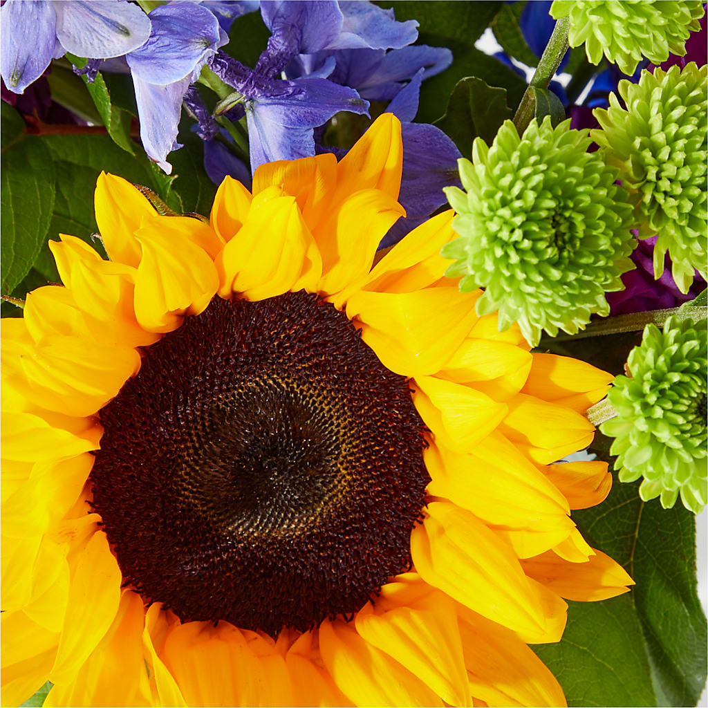 Catching Rays Bouquet –  Velvet Leaf And Stem, Las Vegas NV