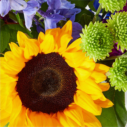 Catching Rays Bouquet –  Velvet Leaf And Stem, Las Vegas NV