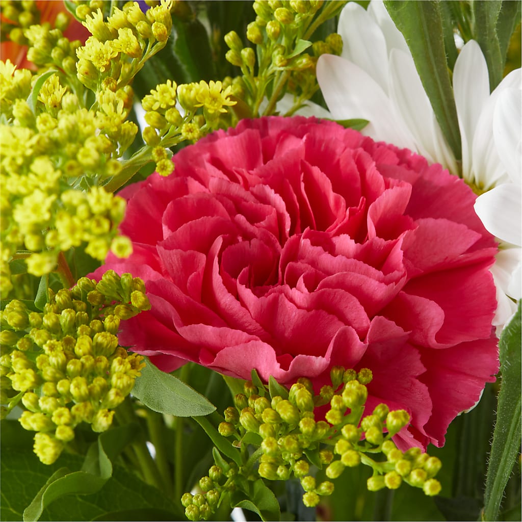 Oopsie Daisy Bouquet –  Velvet Leaf And Stem, Las Vegas NV