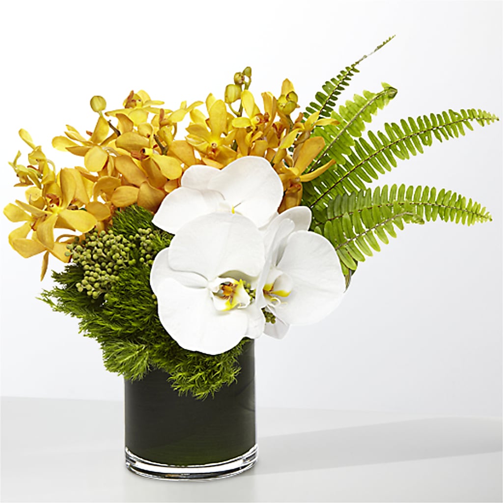 The Tropics –  Velvet Leaf And Stem, Las Vegas NV