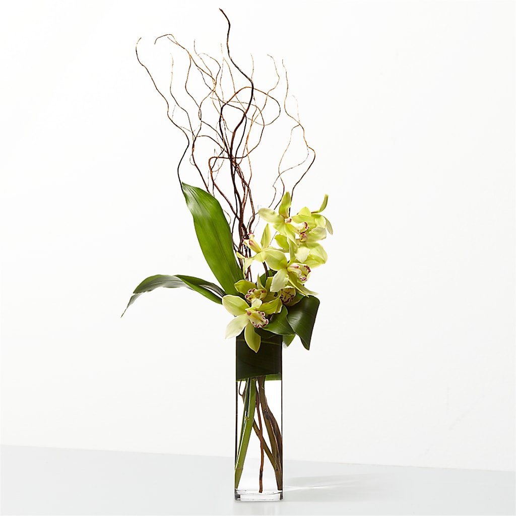 The Statement –  Velvet Leaf And Stem, Las Vegas NV